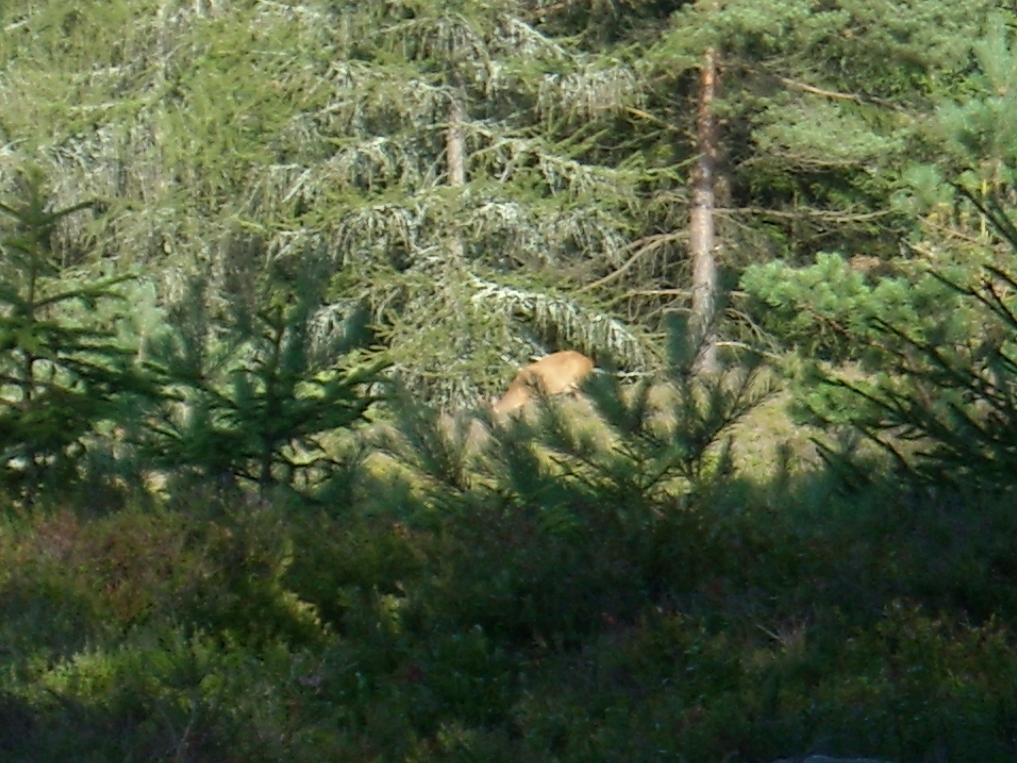 DSCN1987